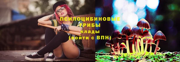ГАЛЛЮЦИНОГЕННЫЕ ГРИБЫ Абдулино
