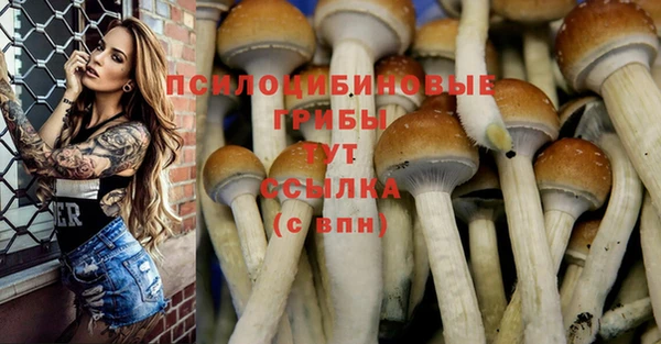 каннабис Абинск