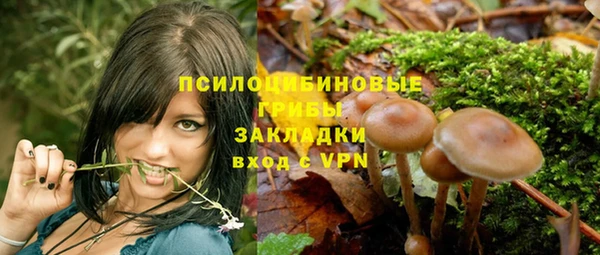 ГАЛЛЮЦИНОГЕННЫЕ ГРИБЫ Абдулино