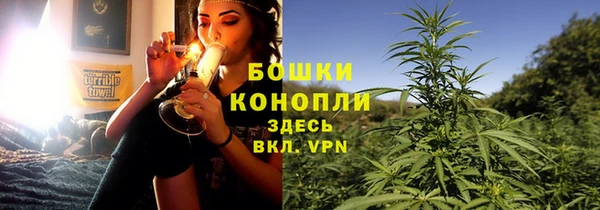 ГАЛЛЮЦИНОГЕННЫЕ ГРИБЫ Абдулино