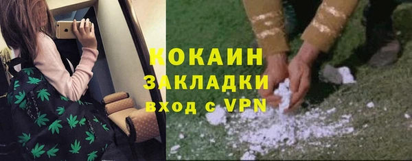 ГАЛЛЮЦИНОГЕННЫЕ ГРИБЫ Абдулино