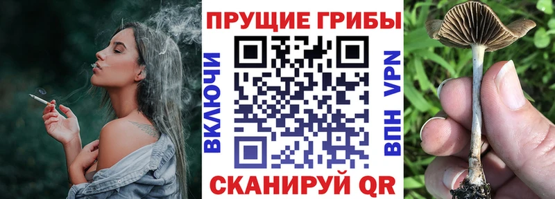 Псилоцибиновые грибы ЛСД  Вышний Волочёк 